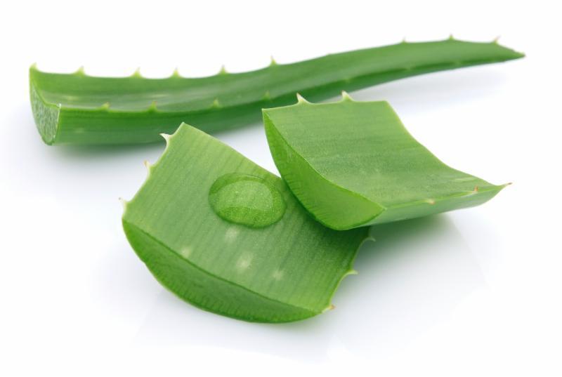 What Can Aloe Vera Really do for Acne?